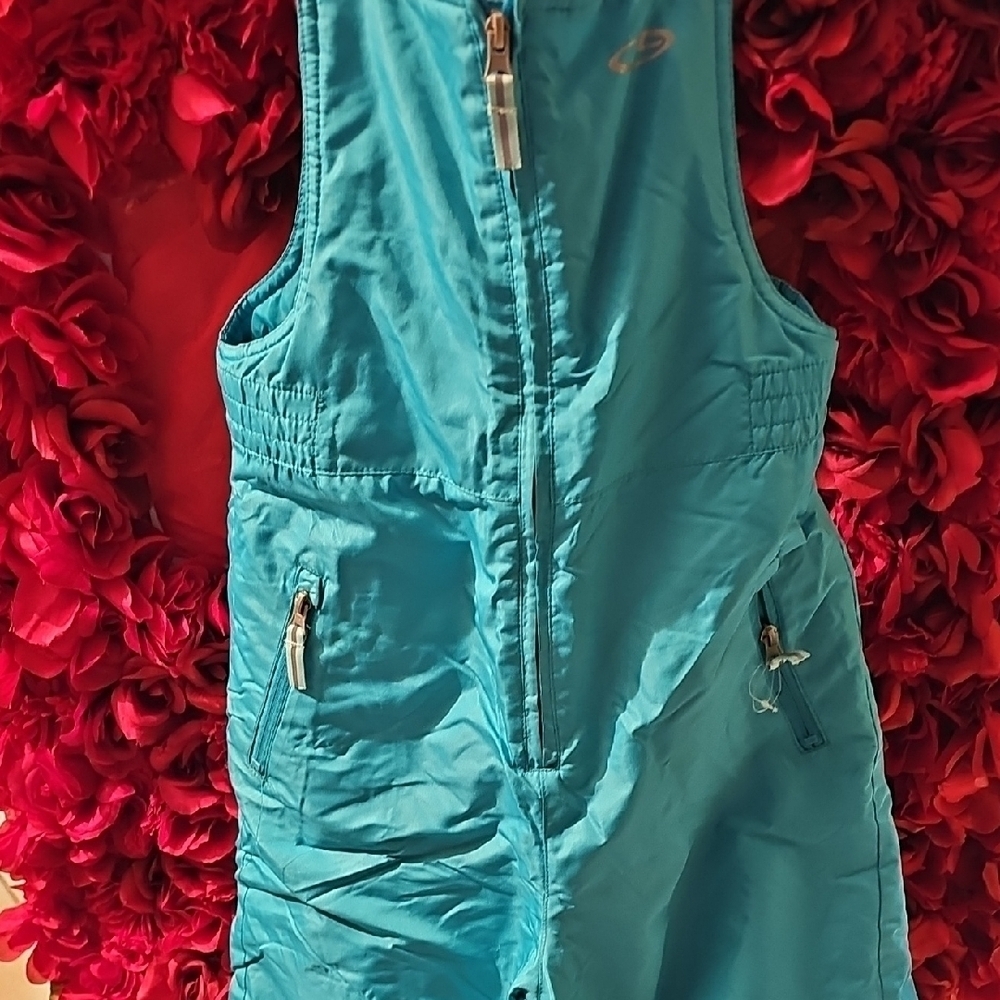 Champion Aqua Blue Winter Overalls Size Large 10/12